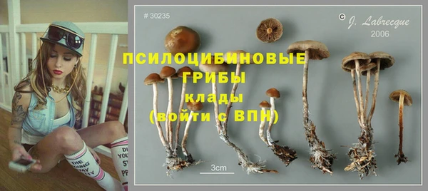 синтетический гашиш Дмитриев