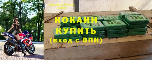 индика Елизово