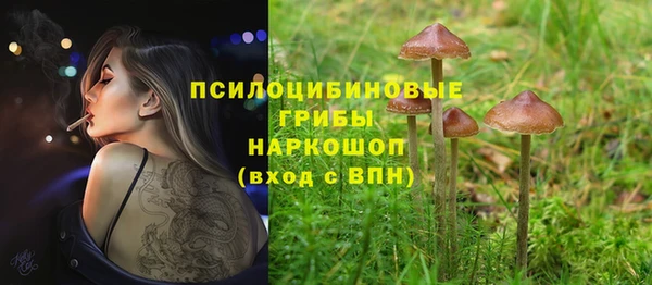 spice Дмитровск