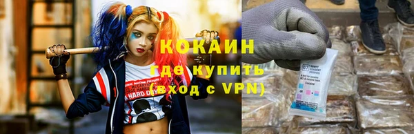 индика Елизово