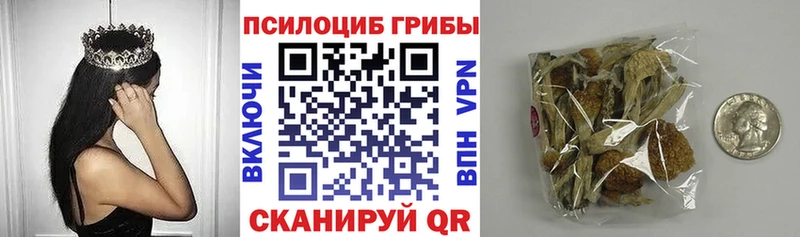 Купить  Тольятти  Псилоцибиновые грибы прущие грибы 