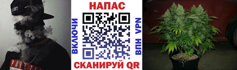 Канабис Bruce Banner  Купить закладки  Тольятти 